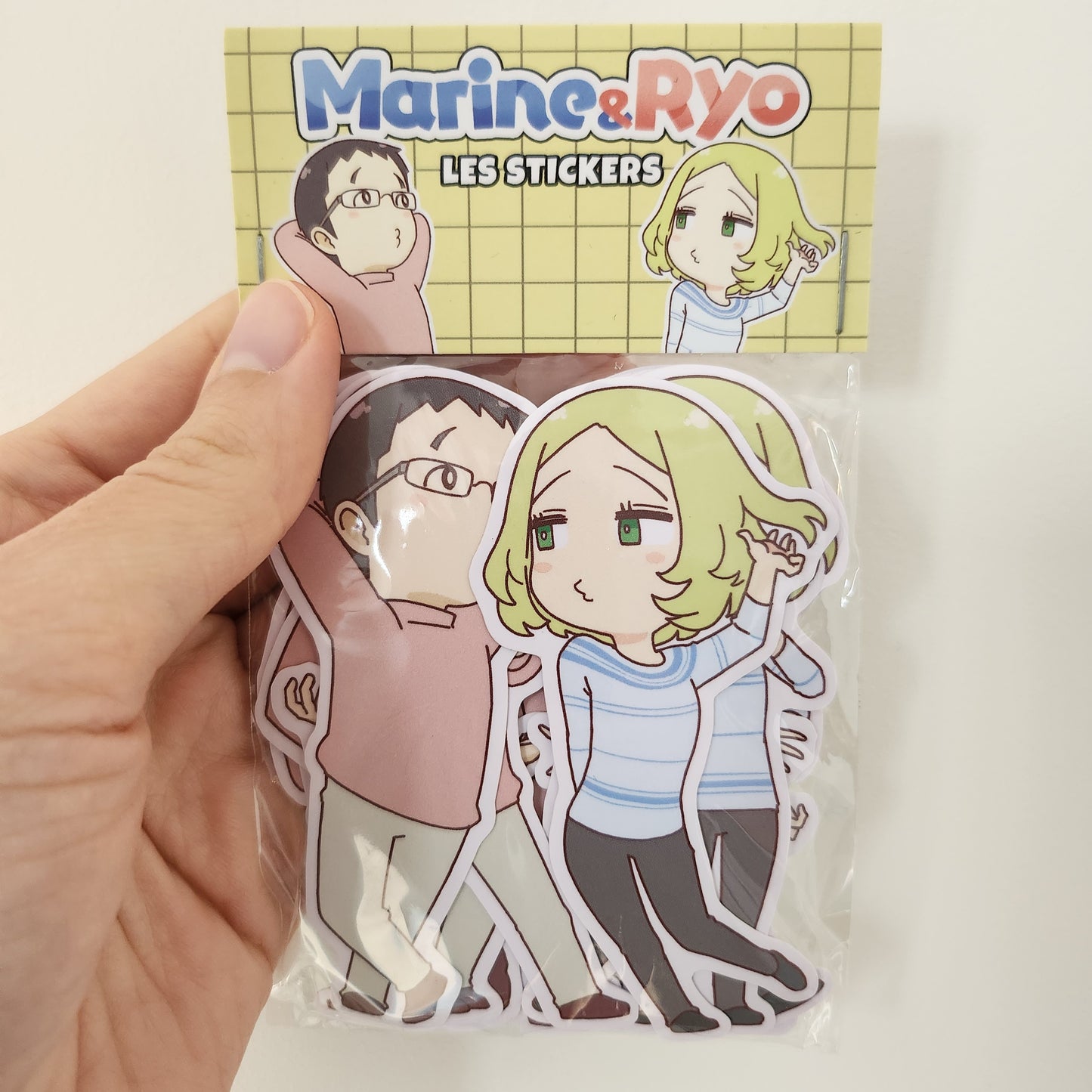 Pack de 16 stickers