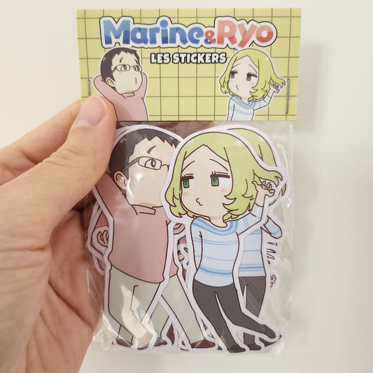 Pack de 16 stickers